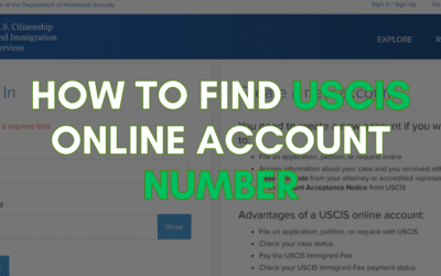 A Guide to Finding the USCIS Online Account Number