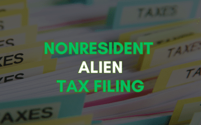 Guide to Nonresident Alien Tax Filings in the US